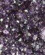 Dark Purple Amethyst Cluster On Wood Base #57200-1